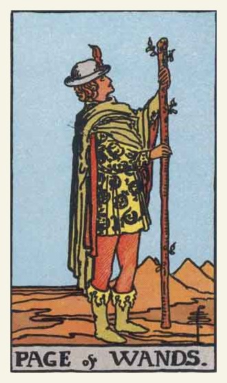 Prince (Page) of Wands Tarot card