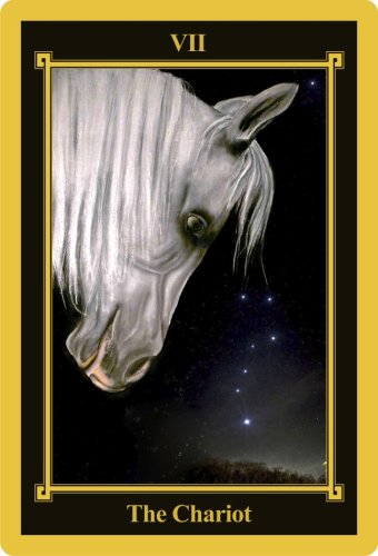 The Chariot - Yearly Tarot Card